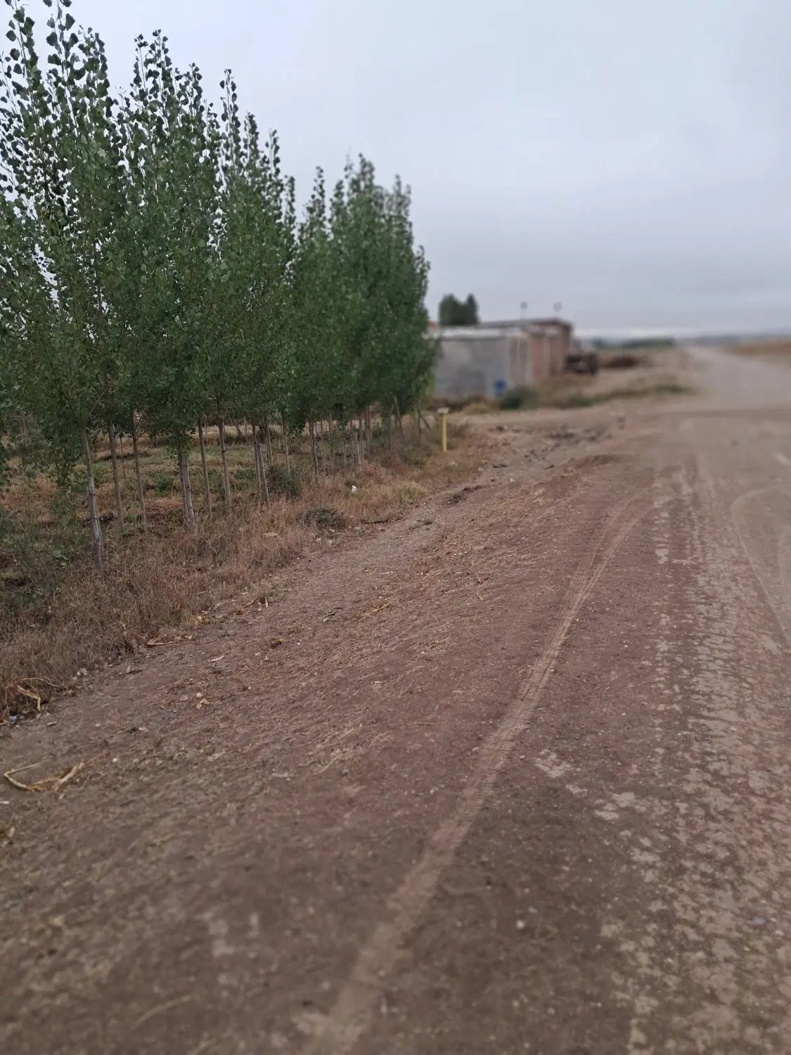 باغ ۹۰۰ متر مربع دو کیلومتری اردبیل گاز یولی