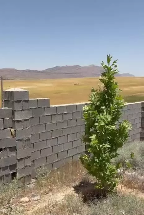 ۱۰۰۰متر زمین باغ شهری کودیان مورسوسنی