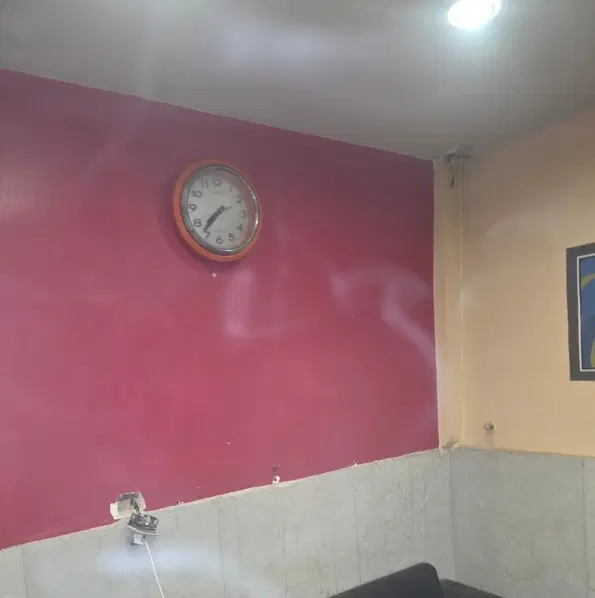 هم خانه