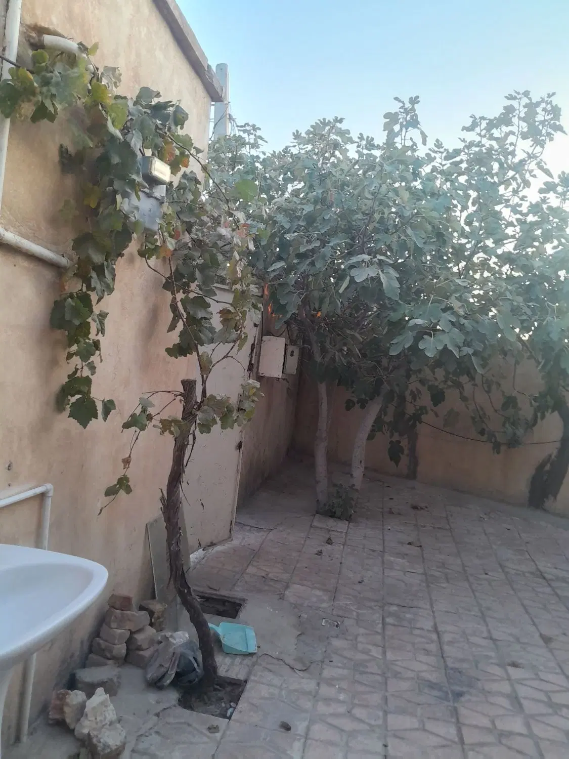 شهرک امام کوچه بهار