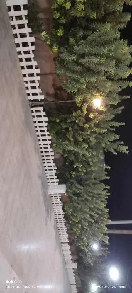 همخونه
