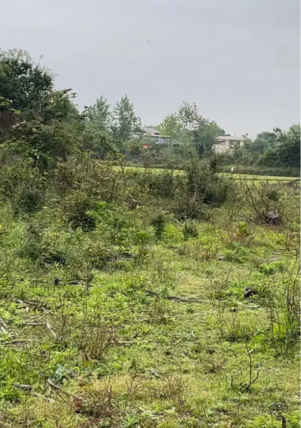 زمین باغی به متراژ ۴۰۰۰متر