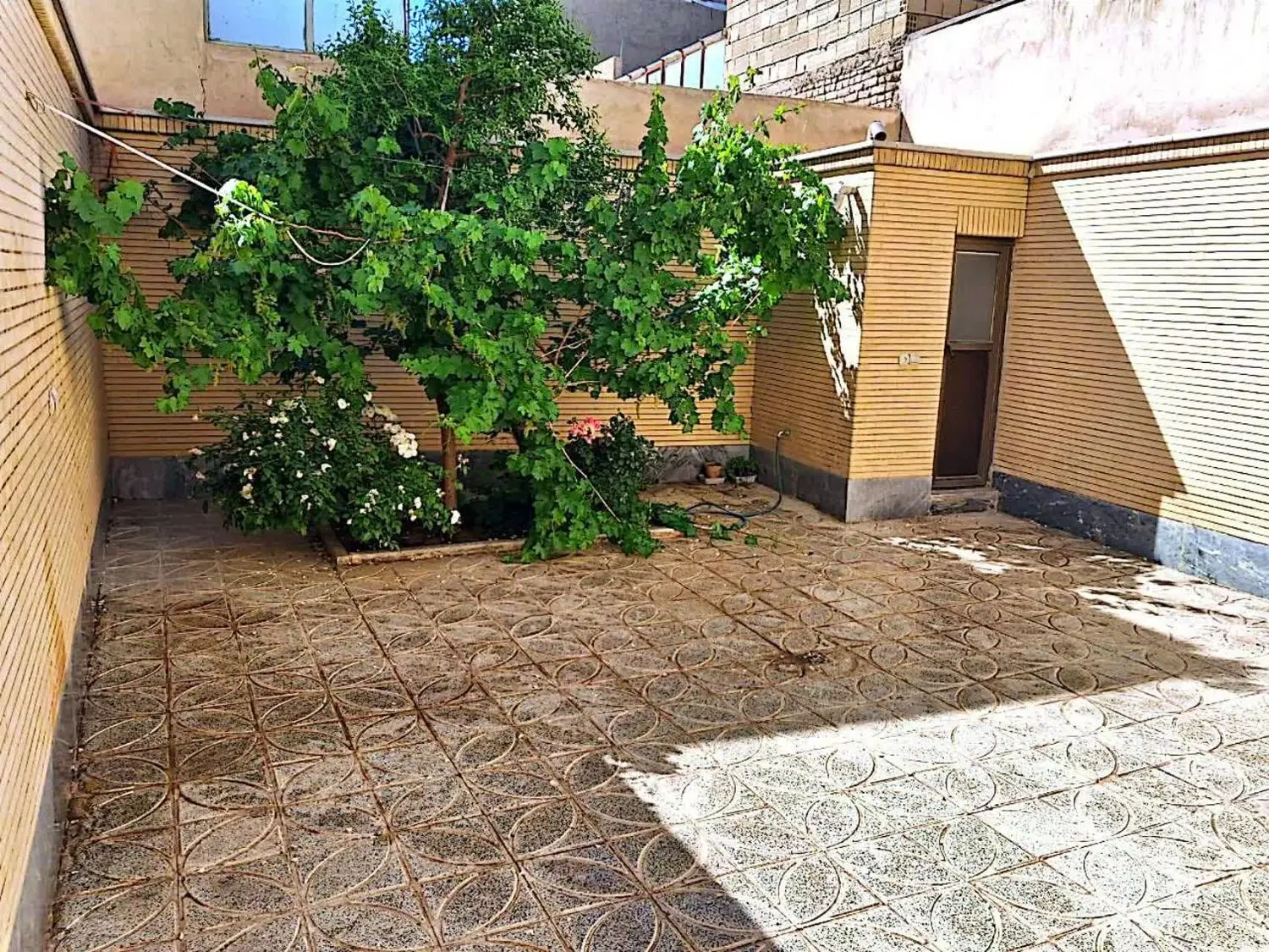 رهن واجاره طبقه همکف.آخر اریسون