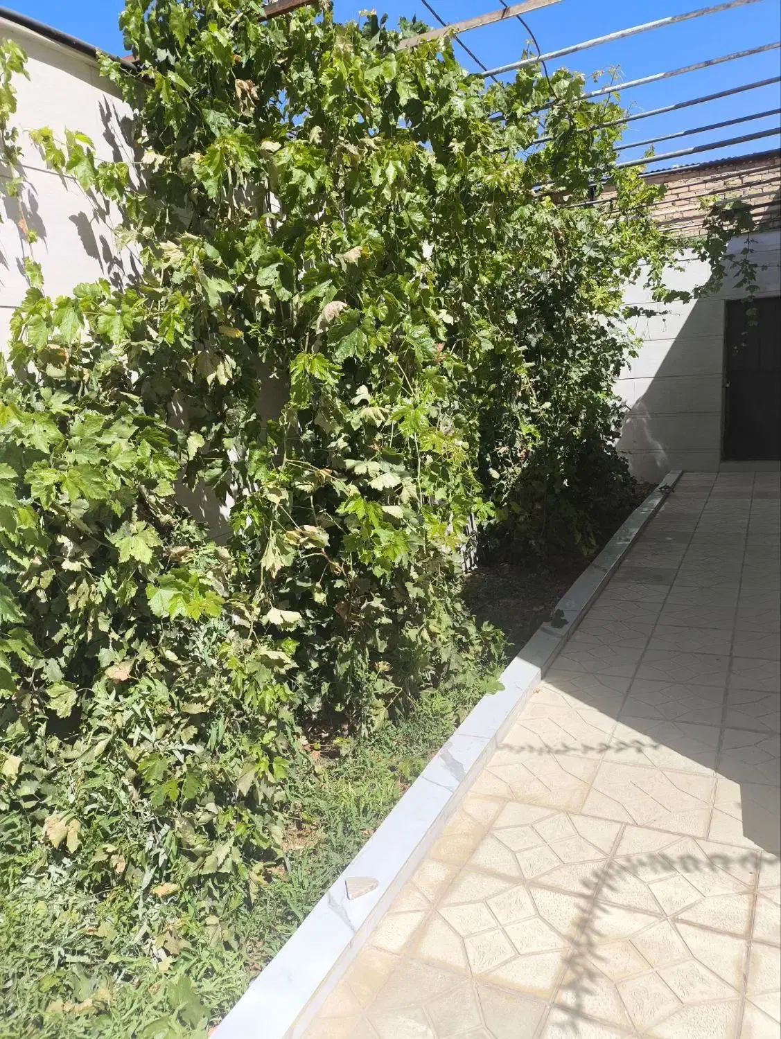 زمین مسکونی در شهرک سور
