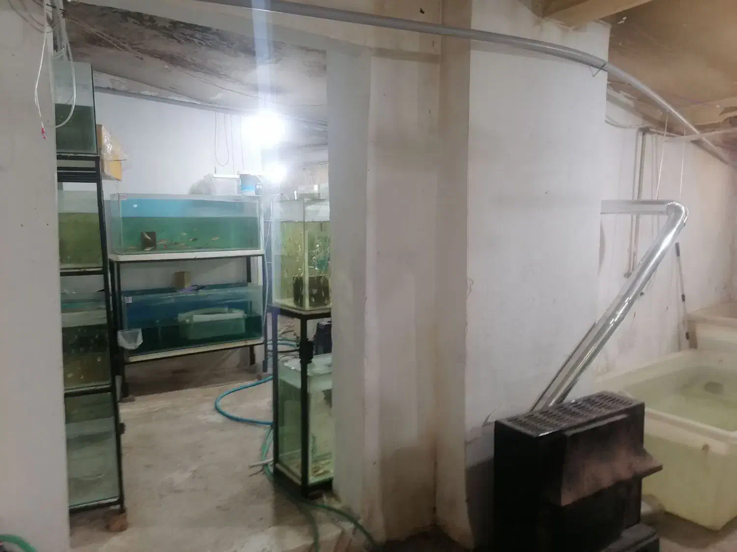 ۱۵۰متر کارگاهی ومسکونی در یوسف ابادبرخیابان