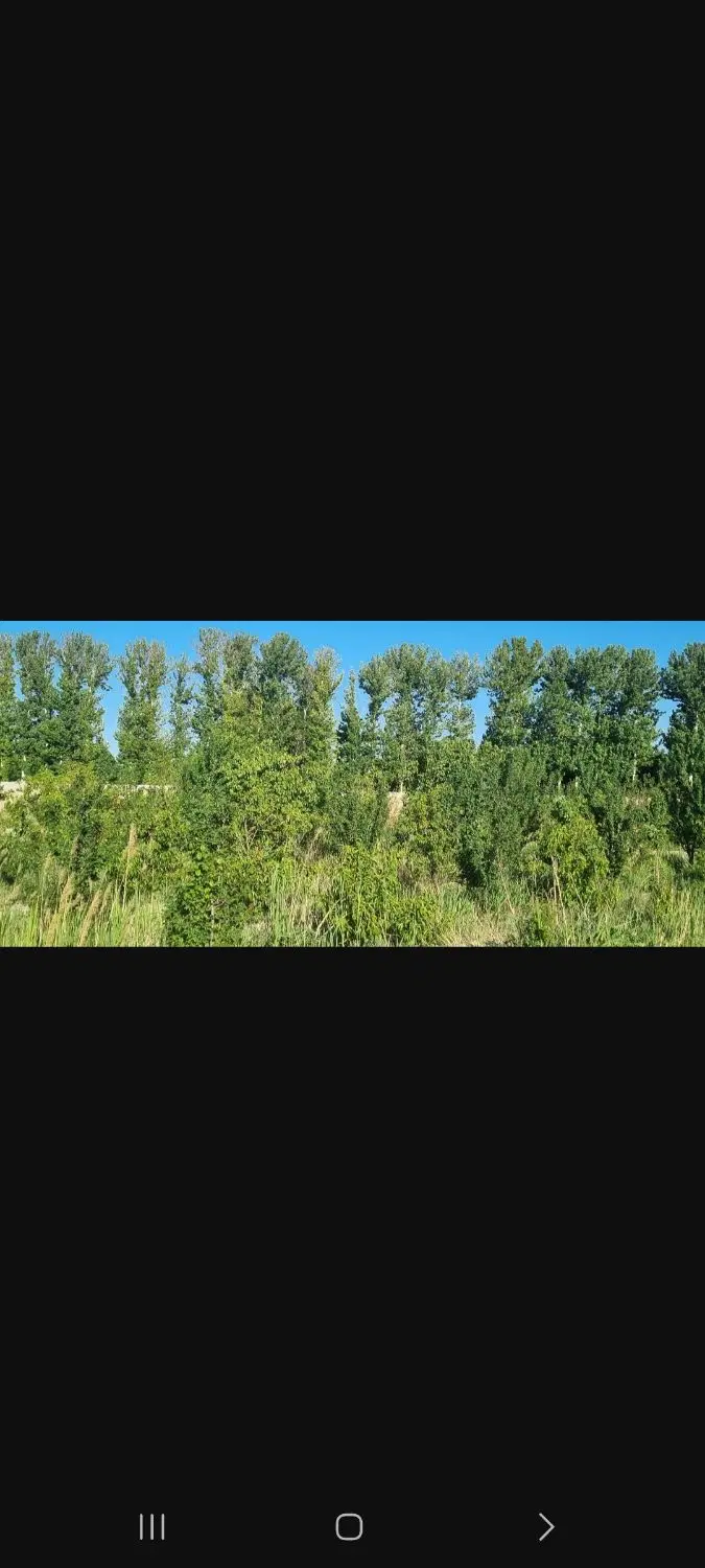 فروش ۵۰۰ متر زمین باغی لاکچری