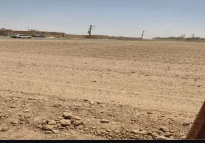 زمین ۱۳۰۰ متر مناسب باغچه