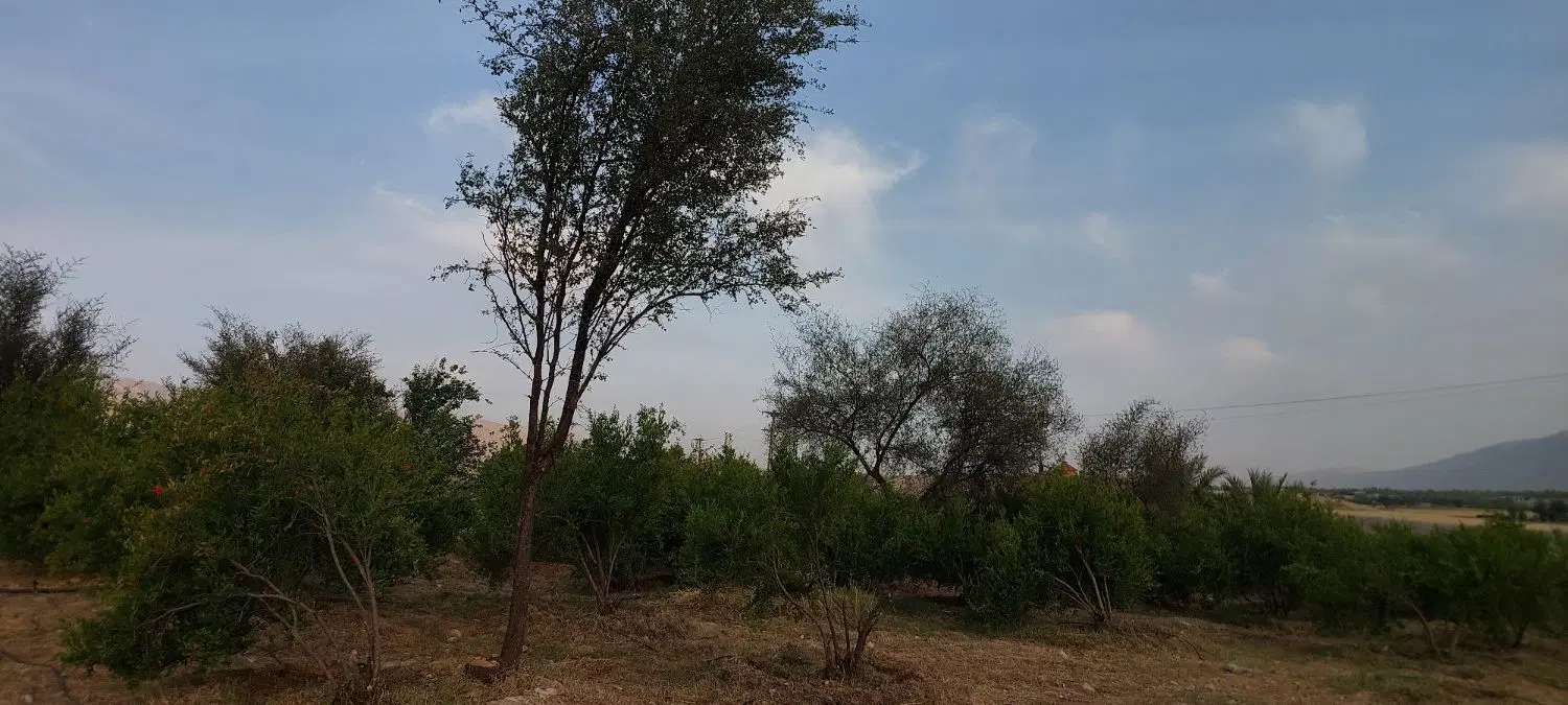 فروش باغچه ۲۶۰۰متری
