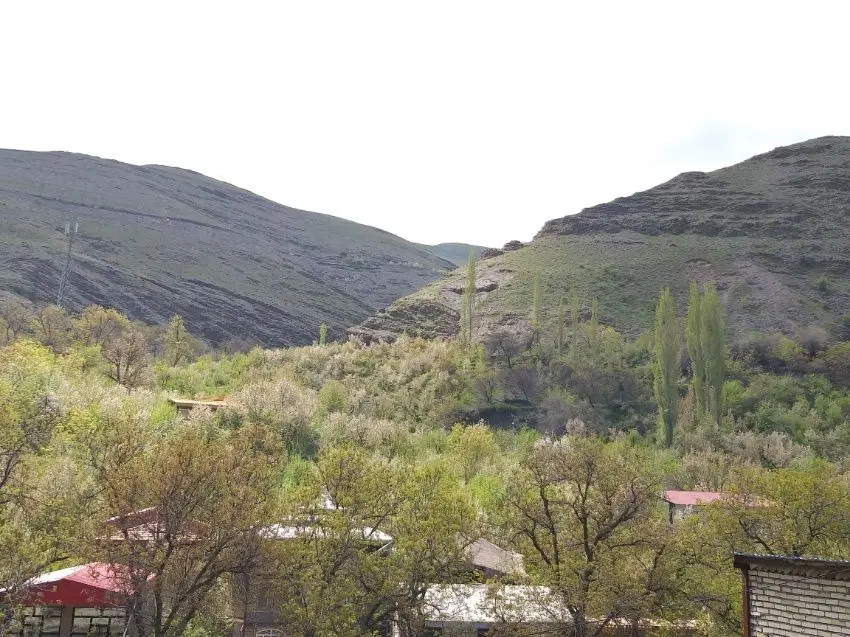 زمین مسکونی