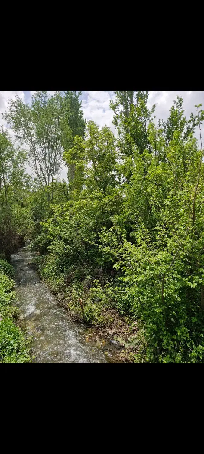 زمین کشاورزی