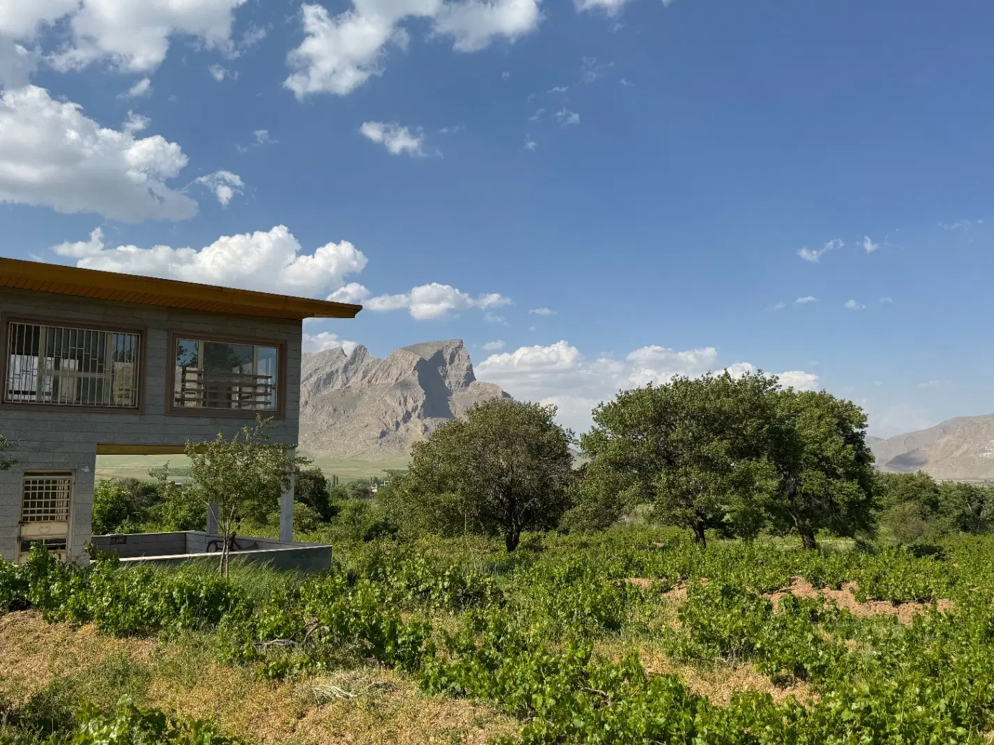 باغ انگور ۳۰۰۰ متری با ویلای دوبلکس ویو ابدی لجور