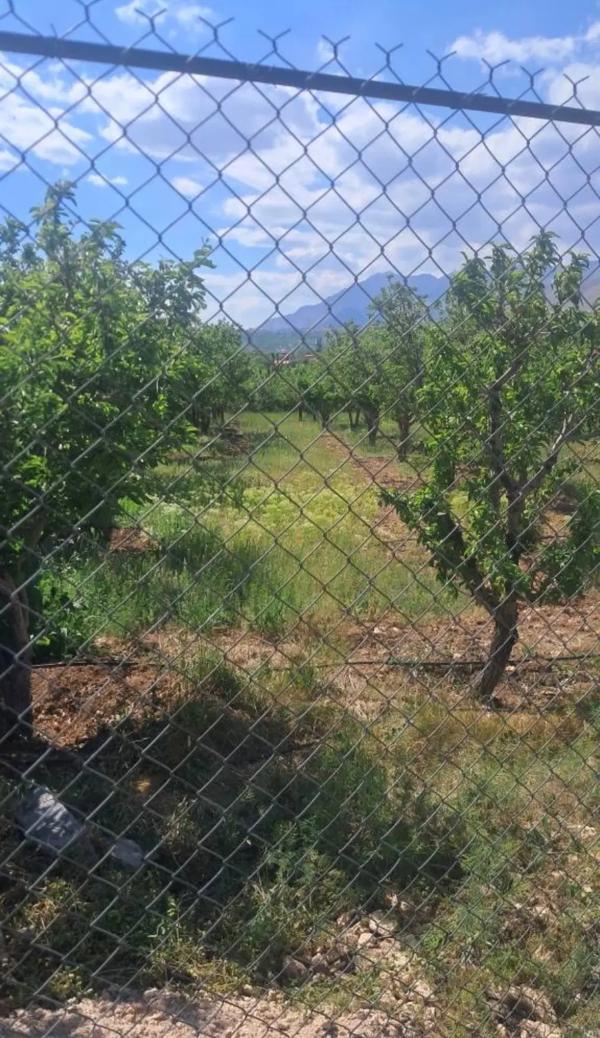 باغ سربندان