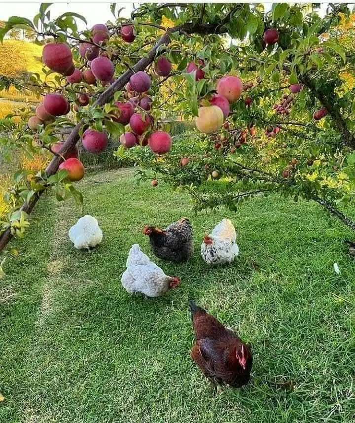 فروش کارگاه