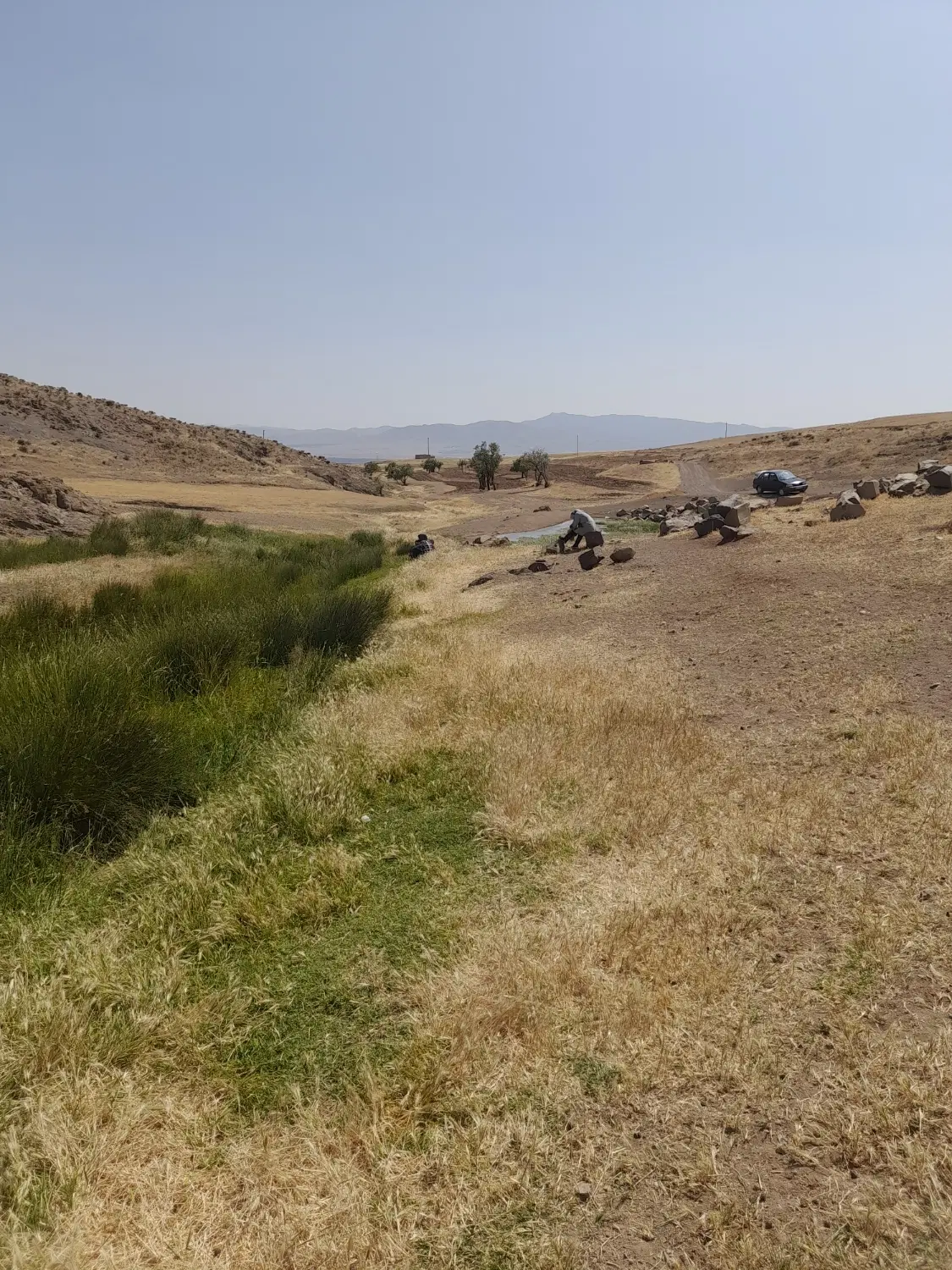 زمین زراعی دیمی