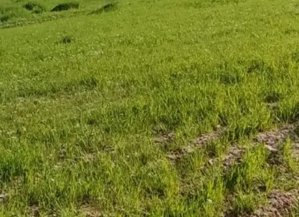 فروش زمین