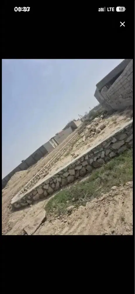 زمین گورک کله بندی