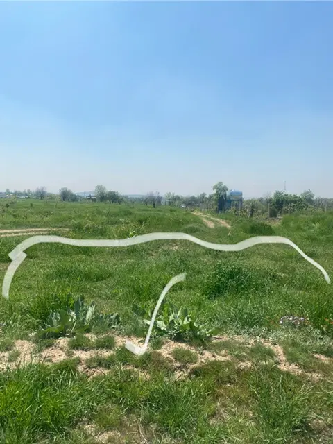 باغ شفیع آباد