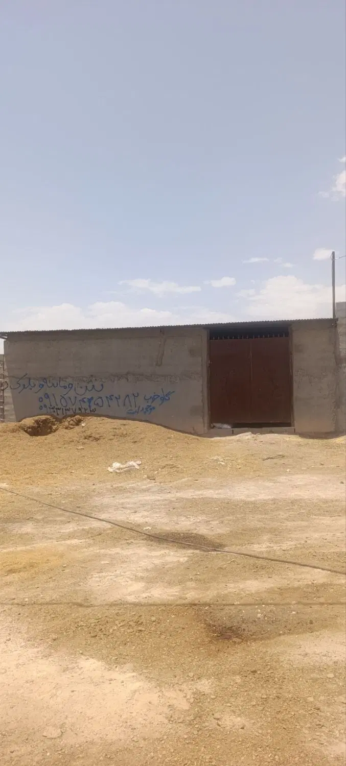 دامداری