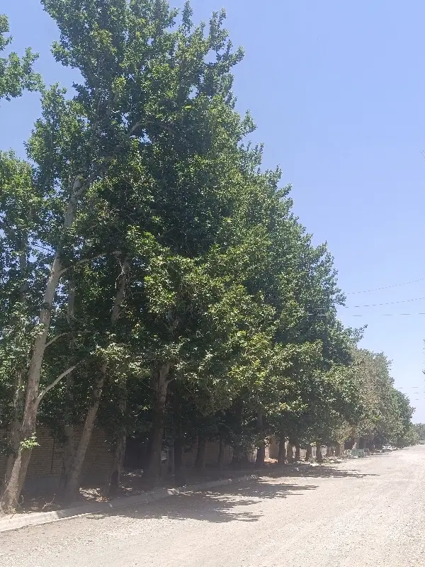 1800 متر با پایان کار و قانونی کنتور قانونی
