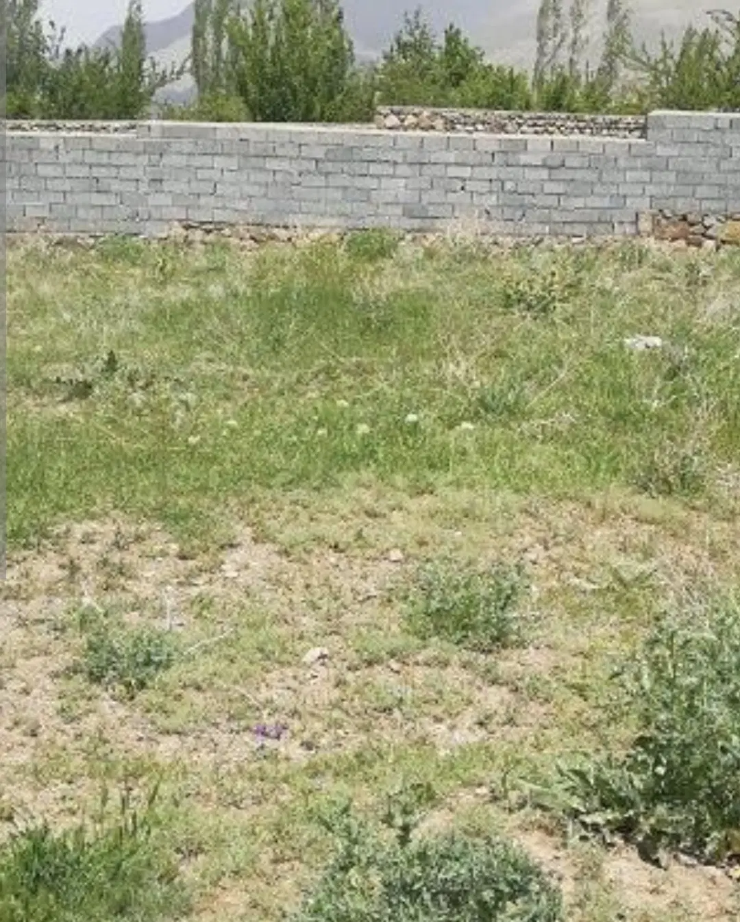 زمین خالی 1200متر  جلابی