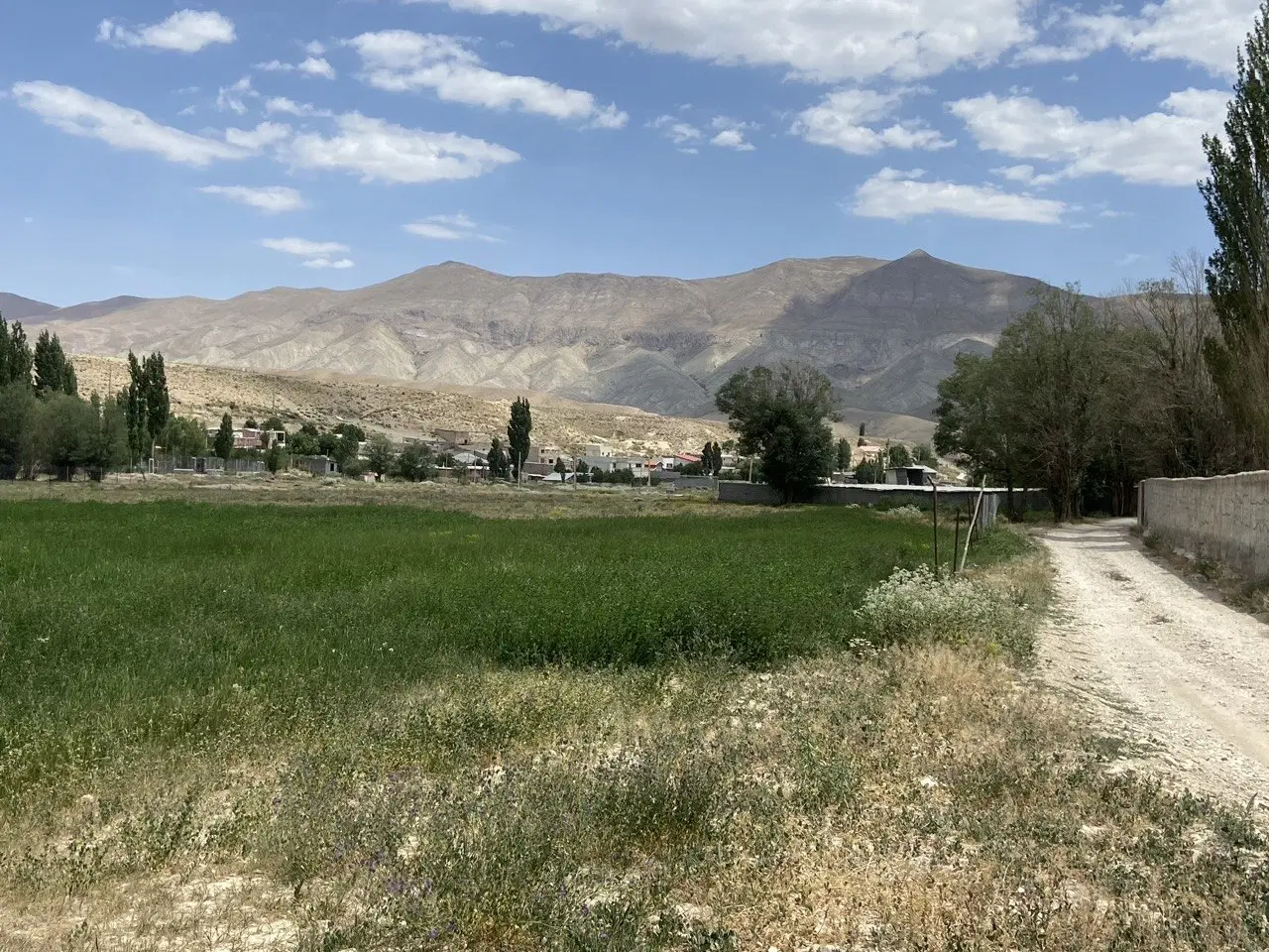فروش زمین زراعی