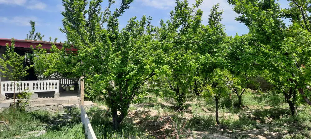 باغچه ۷۰۰ متری چهاردیواری