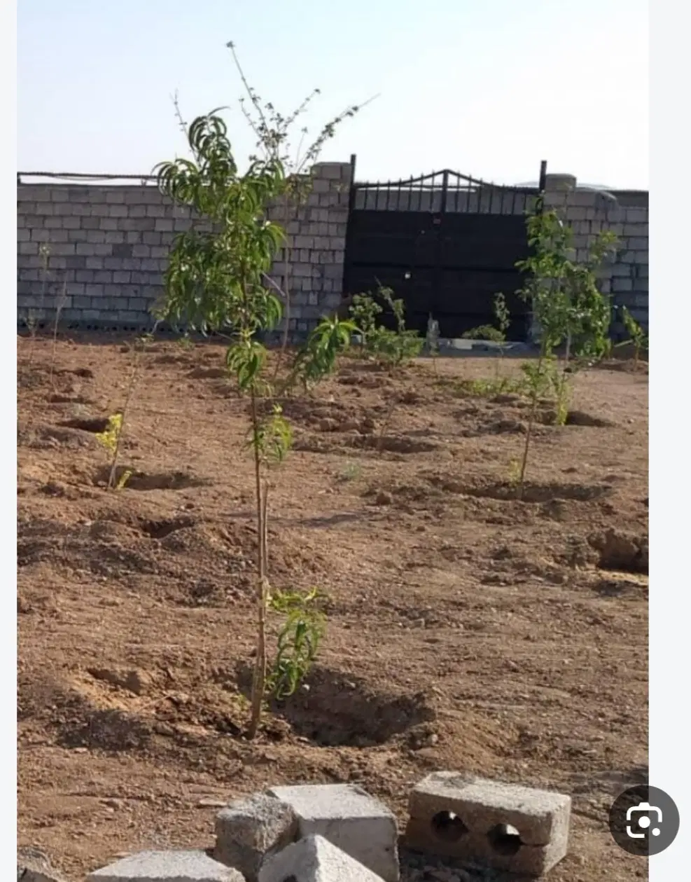 باغ مرق کوچه۹۰