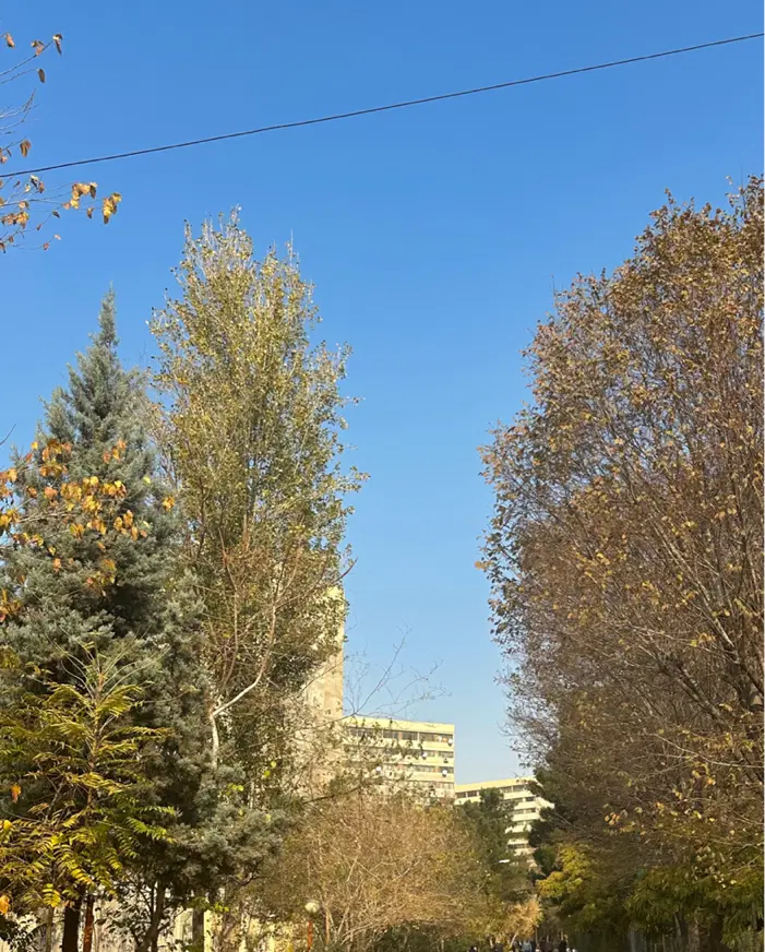 رهن کامل یکخوابه فاز۲