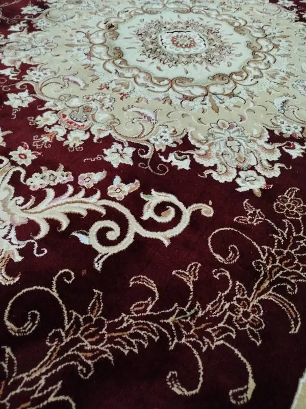 همخانه خانم بی حاشیه