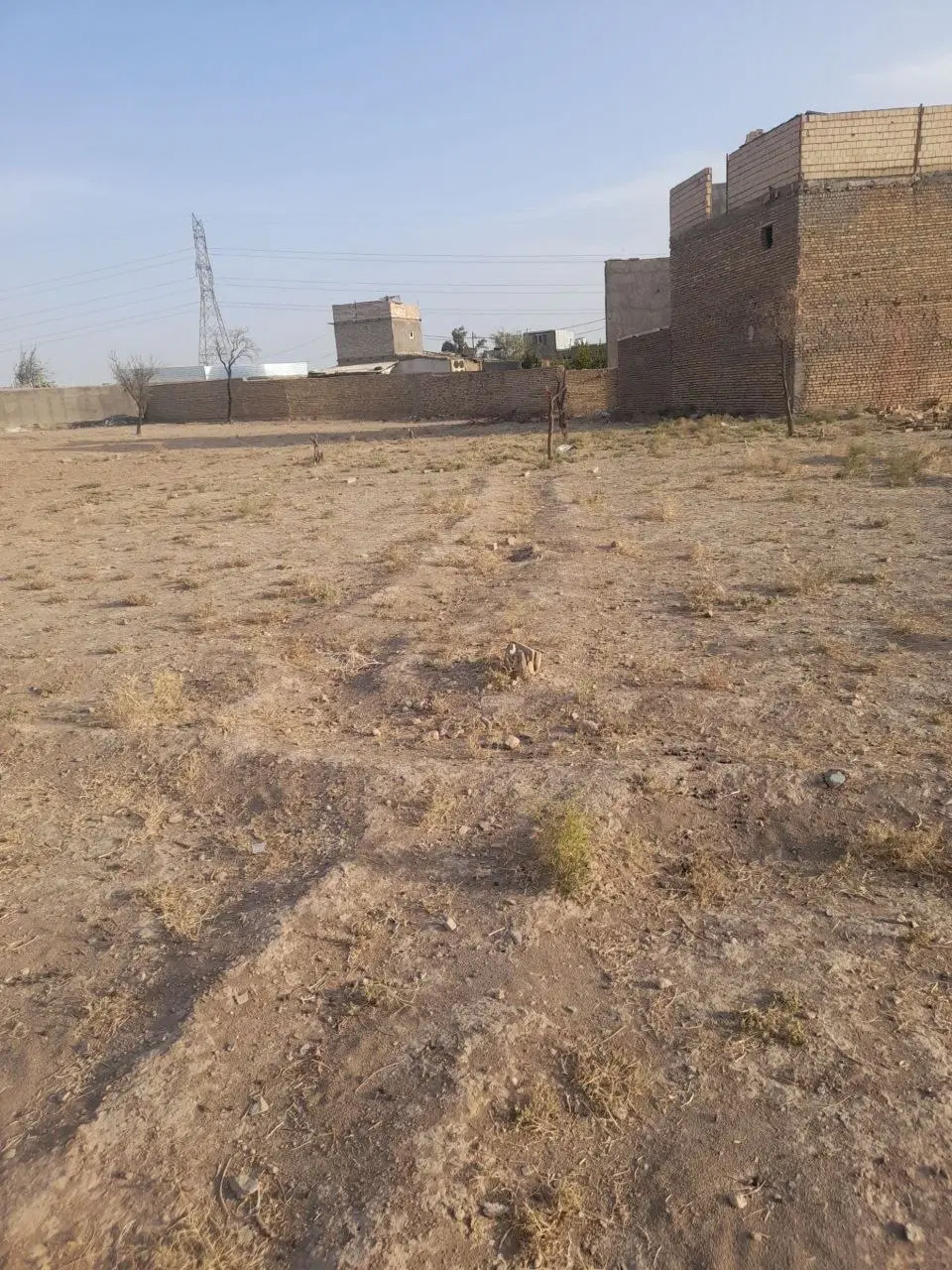 زمین کشاورزی