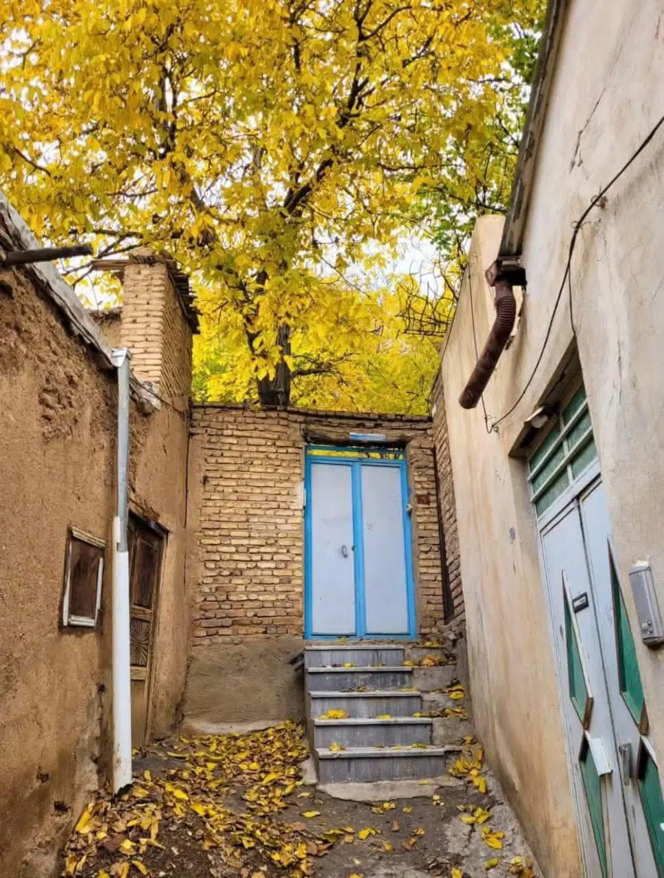 نیازمند سوییت هستم