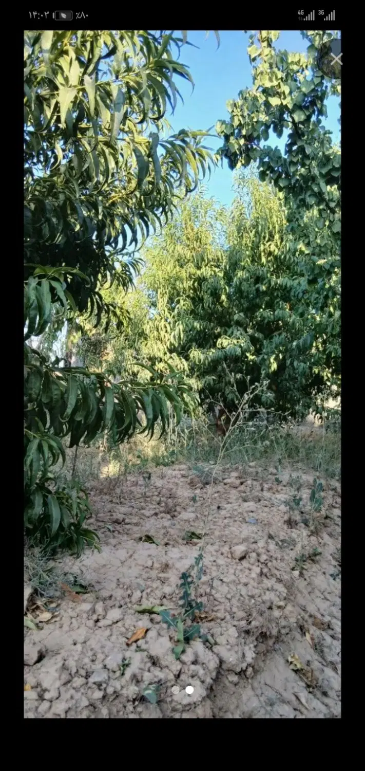 زمین فروشی باغی و ویلایی گوار