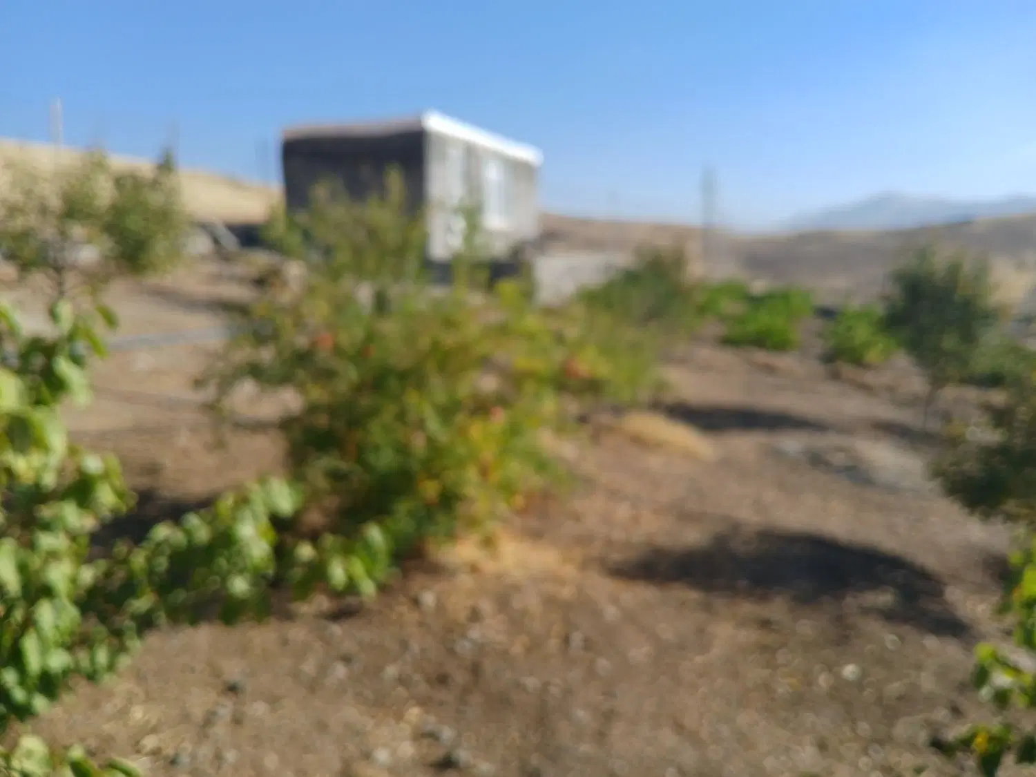 باغ ۸۶۰متری