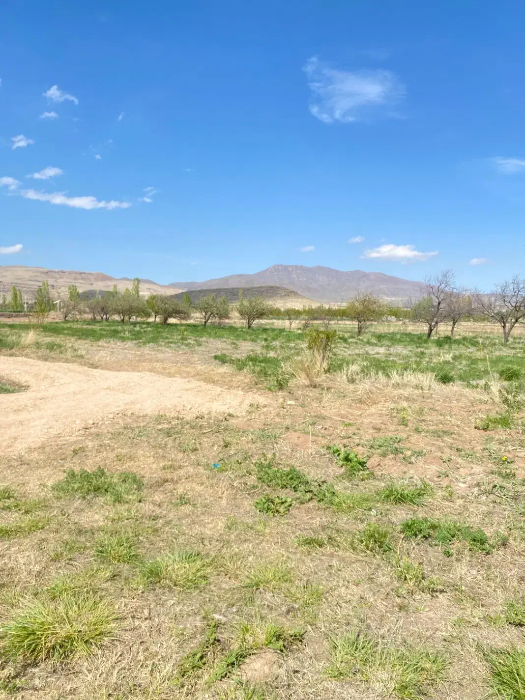 زمین باغ روستای رند