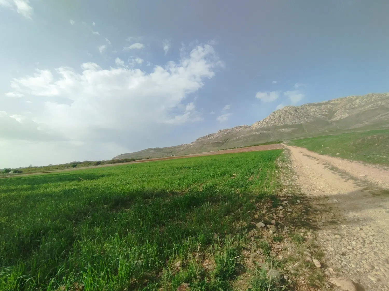 باغ و زمین کشاورزی