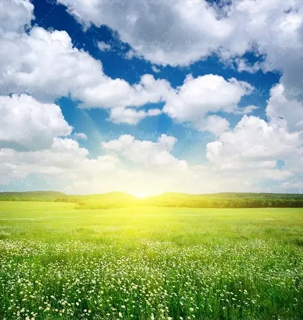 فروش زمین کشاورزی بلوار امام رضا