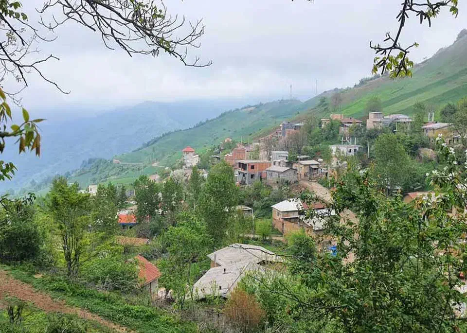 زمین