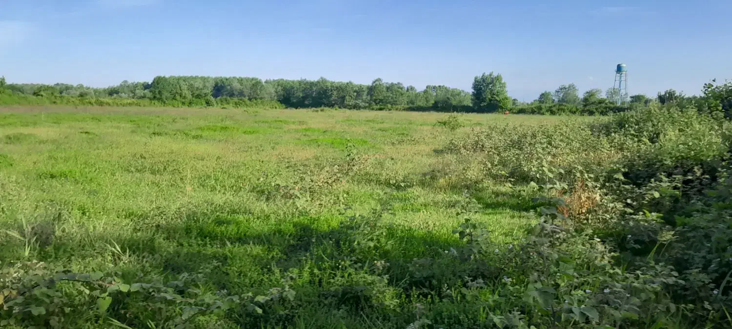 ۴ هکتار مسکونی شمال کشور
