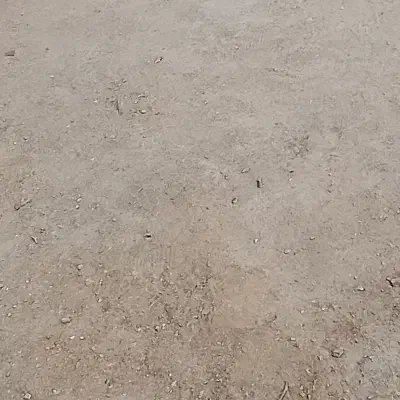 زمین جام جم زابل معاوضه با ماشین