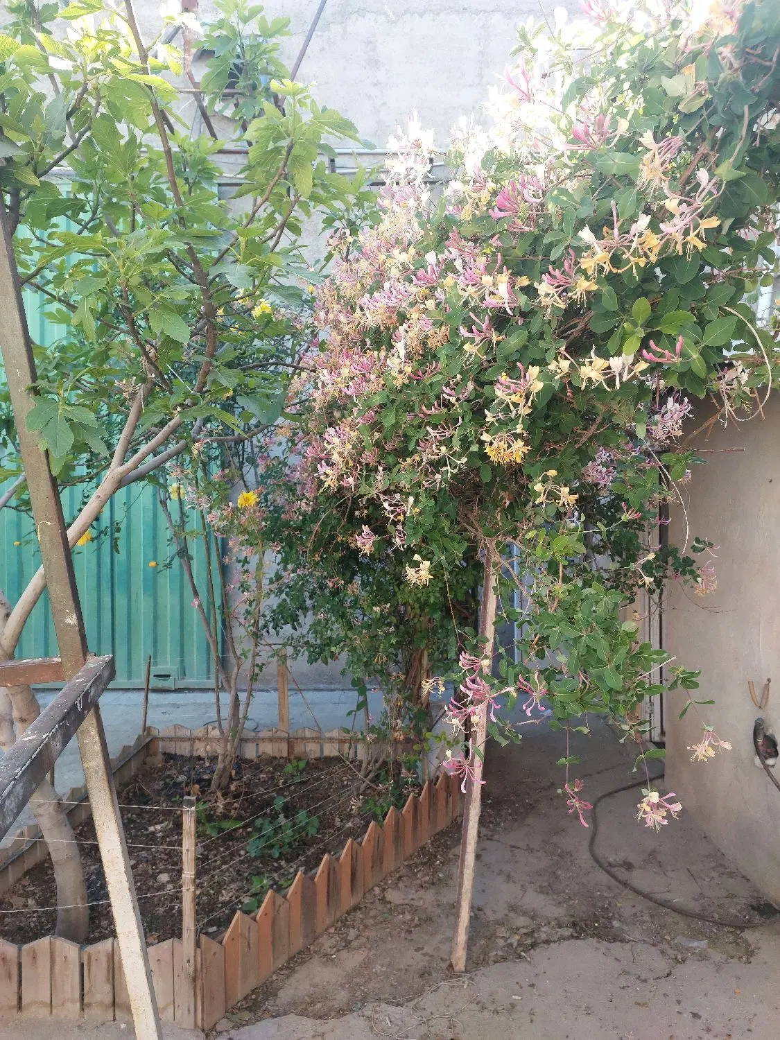 ویلایی فرهنگیان فاز۳