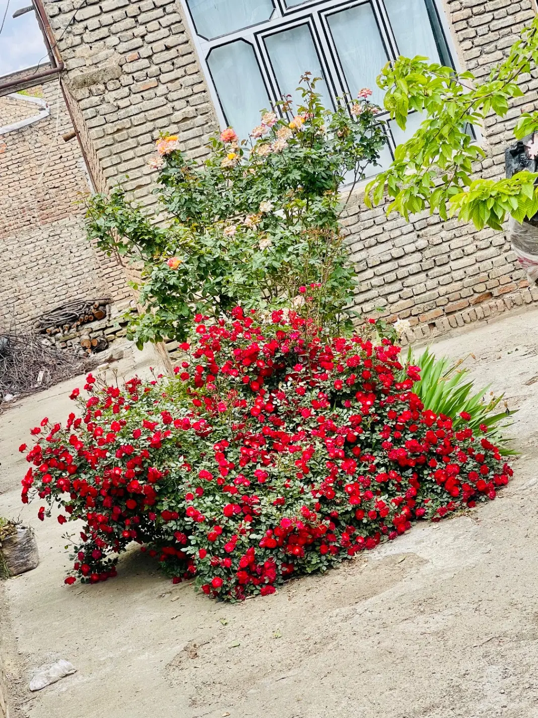 فروش ی باب ساختمان مسکونی دربست