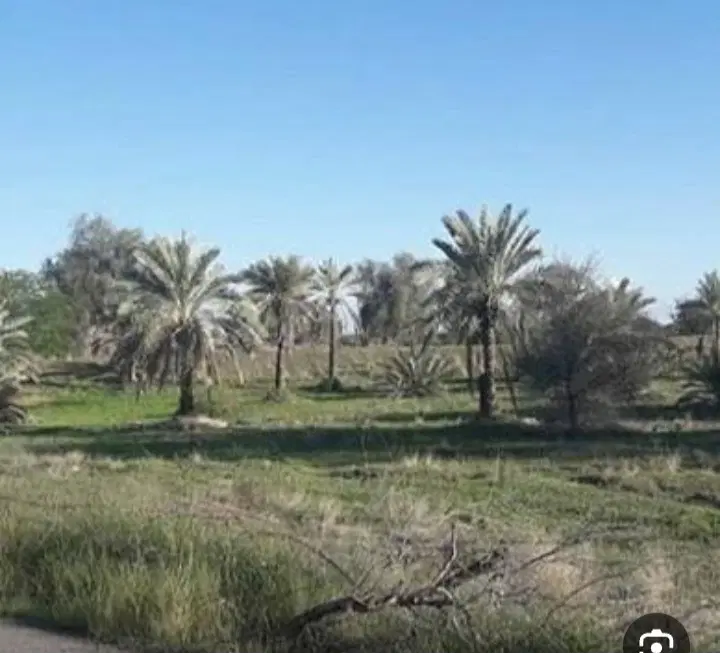 فروش یکباب خانه