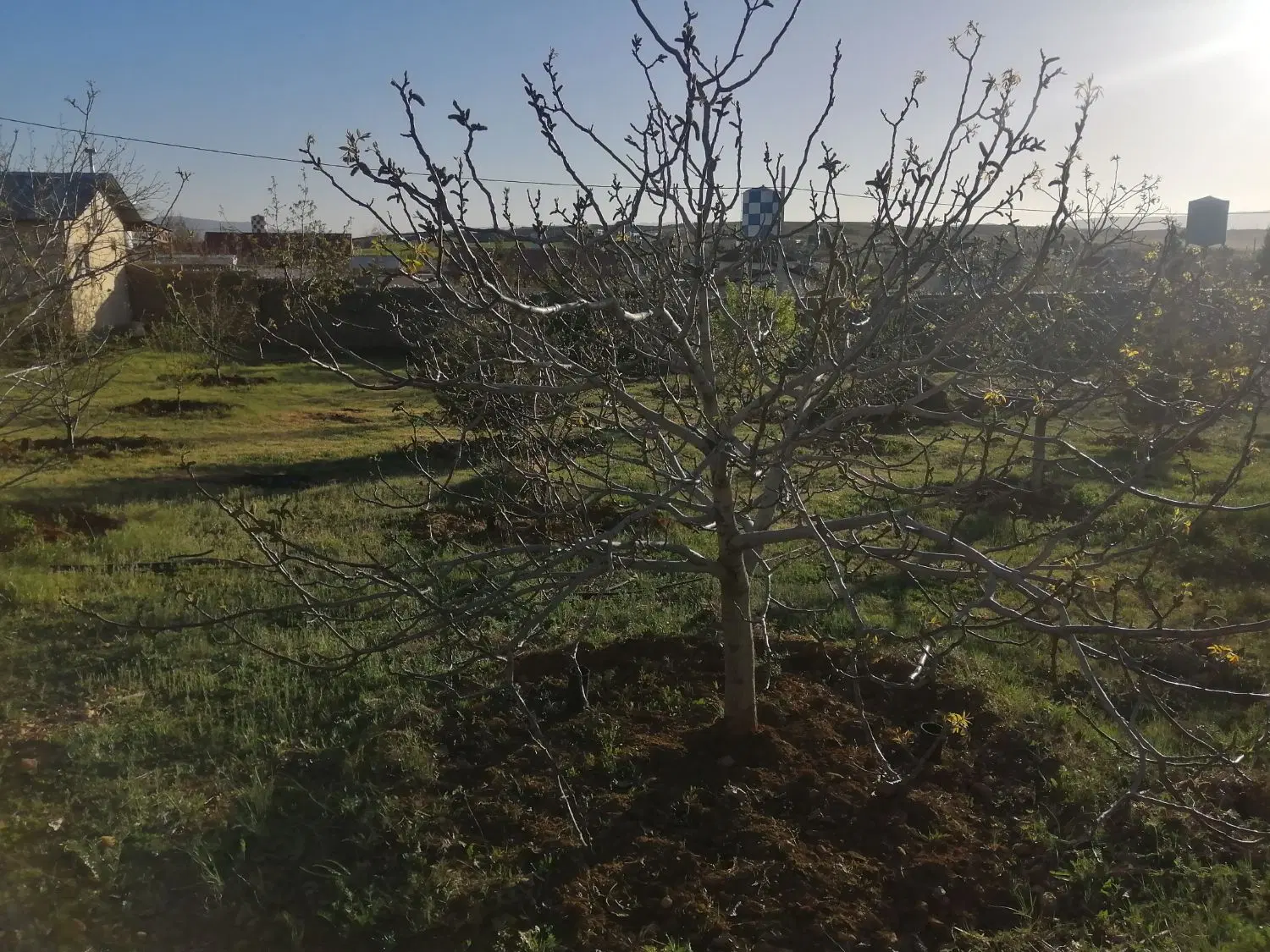 باغشهری قره چمن. مجتمع سحر