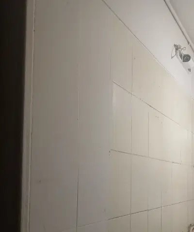 نیازمند همخونه خانم