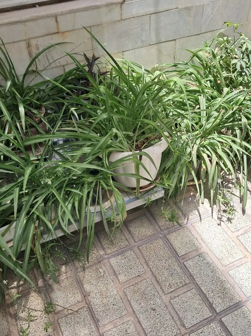 ویلایی ۷۲ متری فلکه چهارم