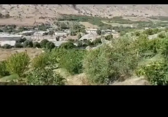 فروش باغ ثمری ۸ ساله لیمو خاگی و پرتقال موقعیت بکر