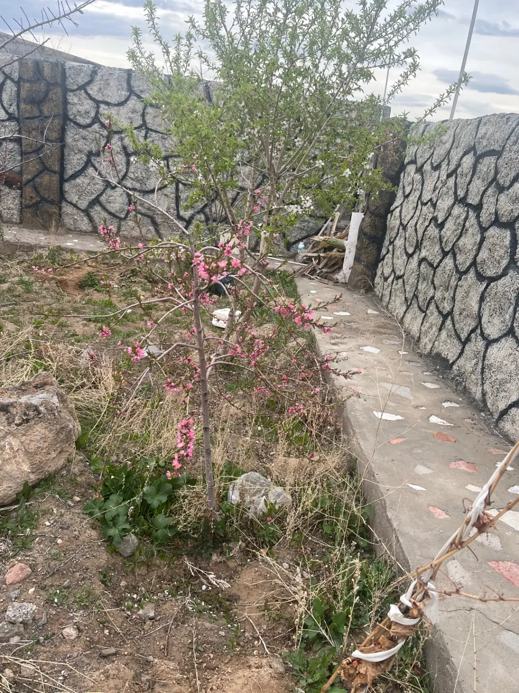 باغ ویلا در اسفهلان