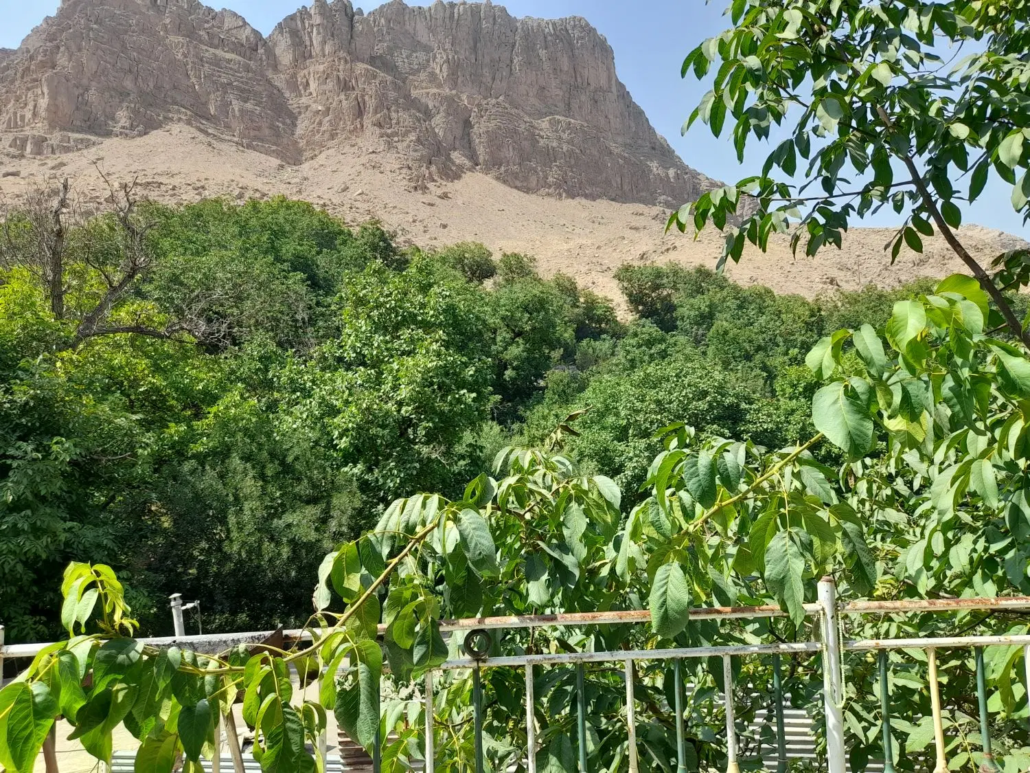 اجاره سویت