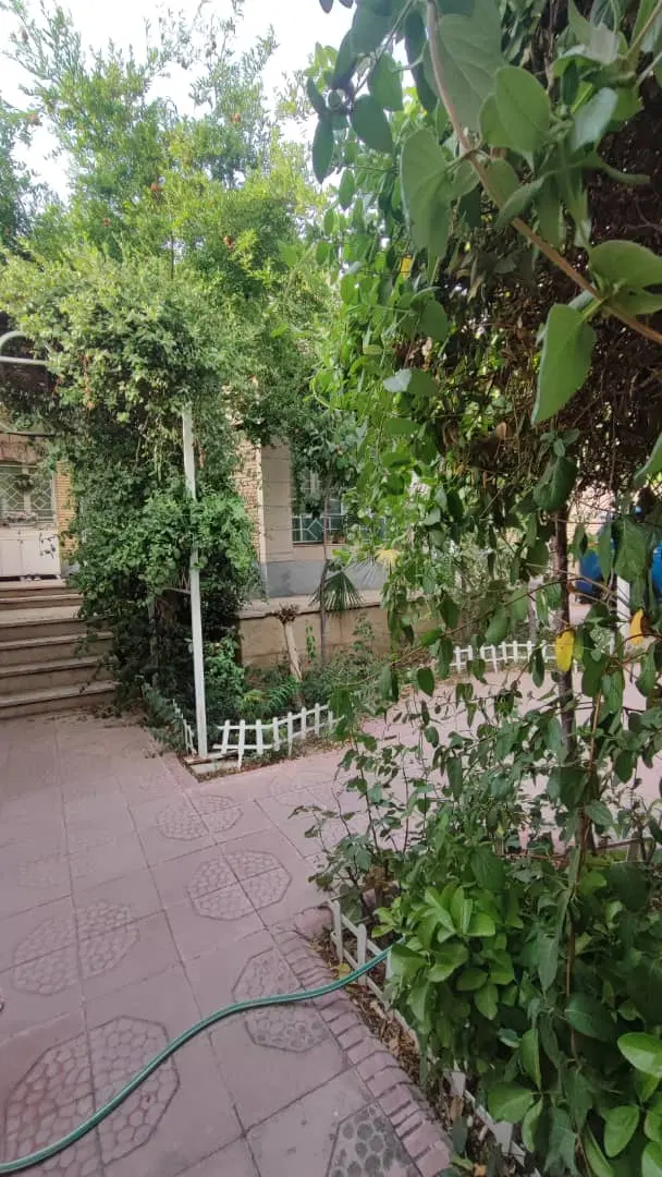 225متر ویلایی_ شمال فاز ۲_ باز سازی کامل