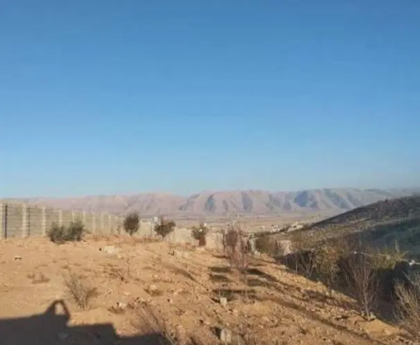 باغشهر سیاخ دارنگون